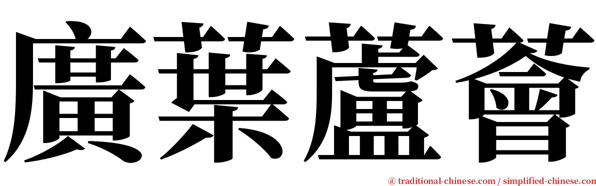 廣葉蘆薈 serif font