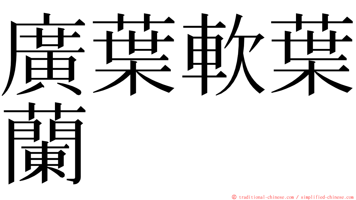 廣葉軟葉蘭 ming font