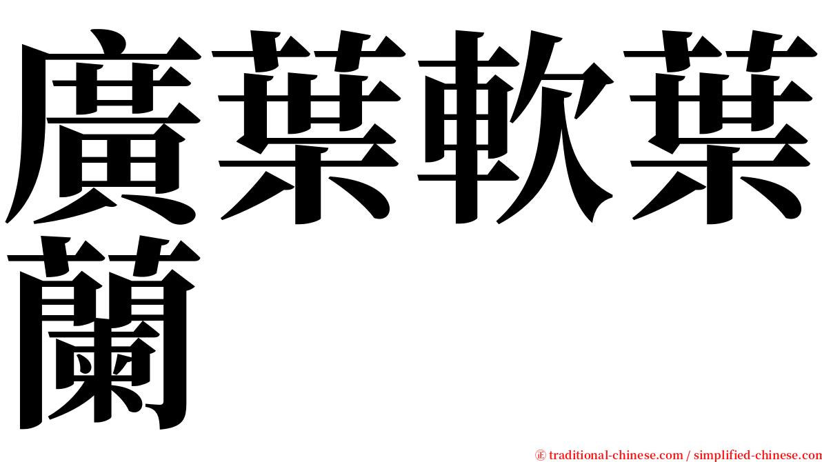 廣葉軟葉蘭 serif font
