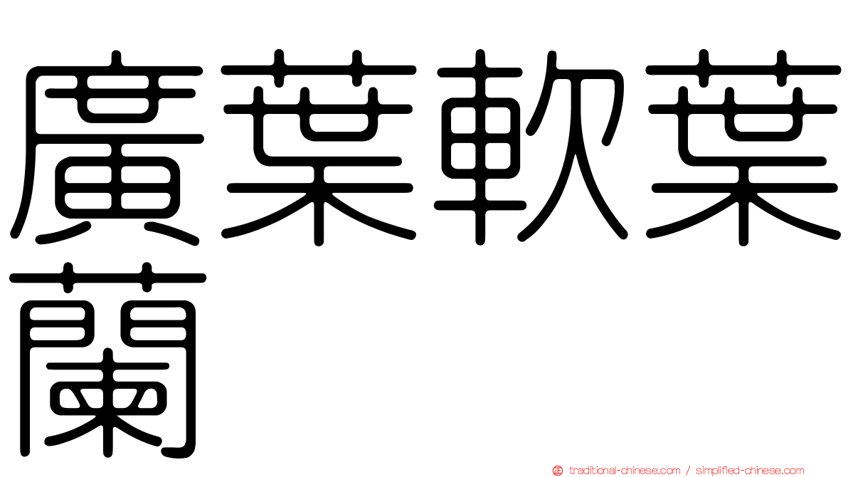 廣葉軟葉蘭