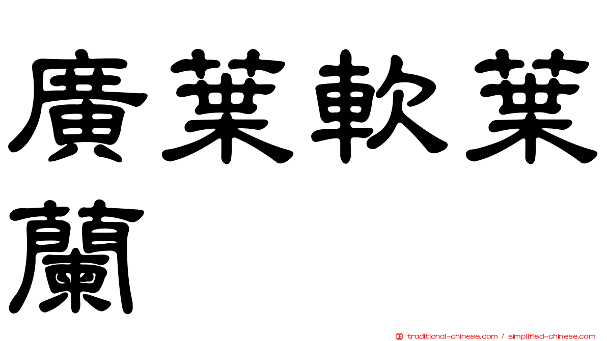 廣葉軟葉蘭