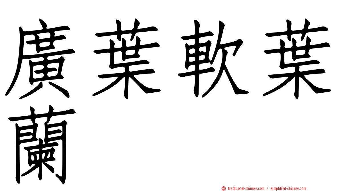 廣葉軟葉蘭