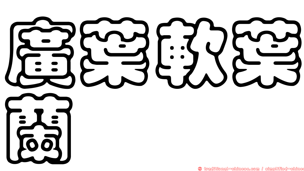 廣葉軟葉蘭