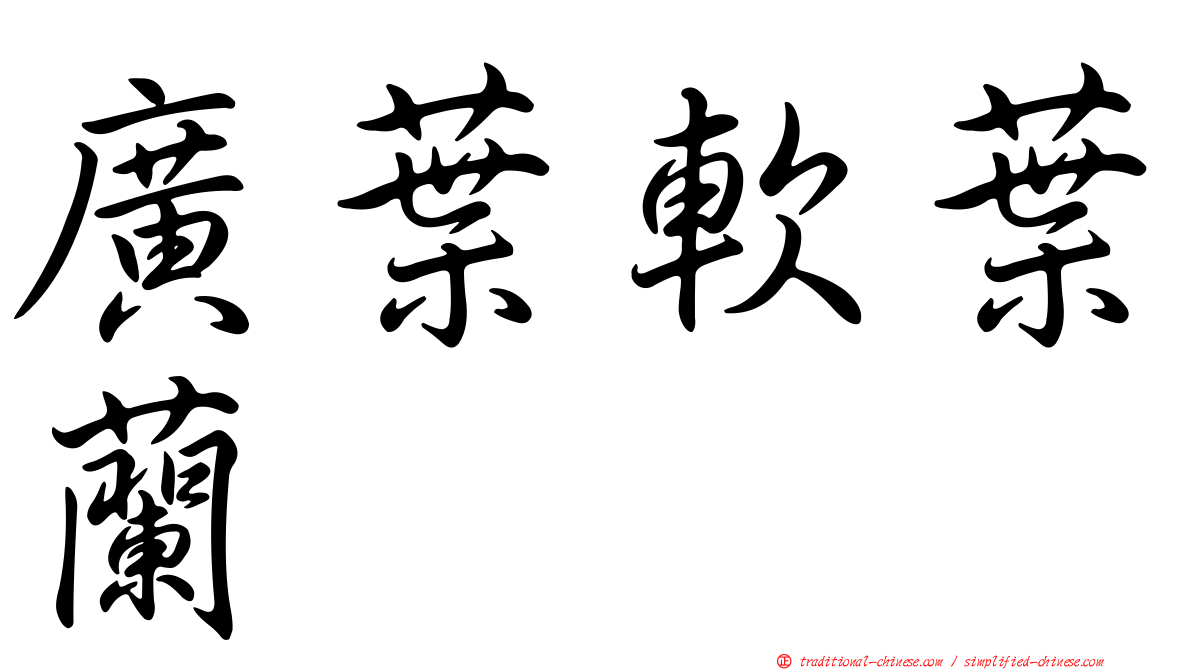 廣葉軟葉蘭