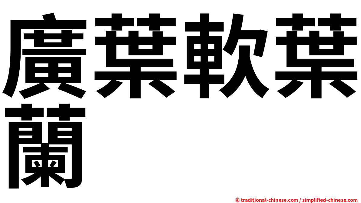 廣葉軟葉蘭