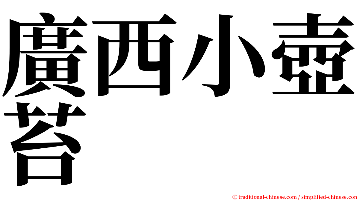 廣西小壺苔 serif font