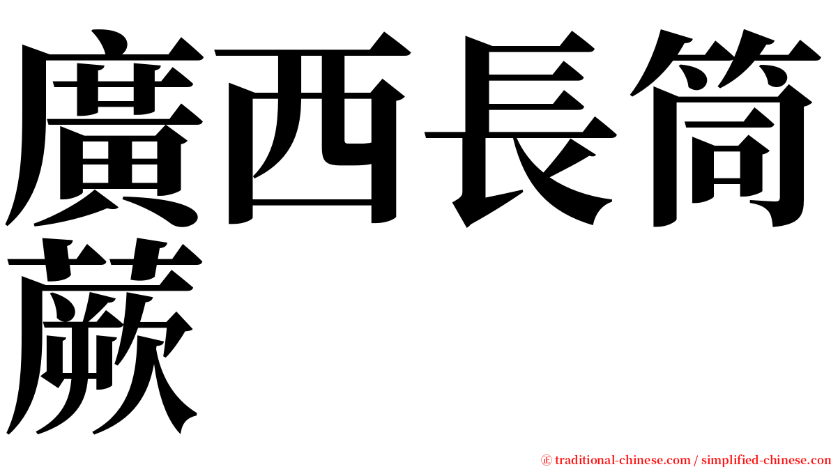 廣西長筒蕨 serif font