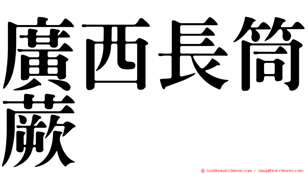 廣西長筒蕨