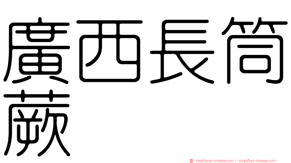 廣西長筒蕨
