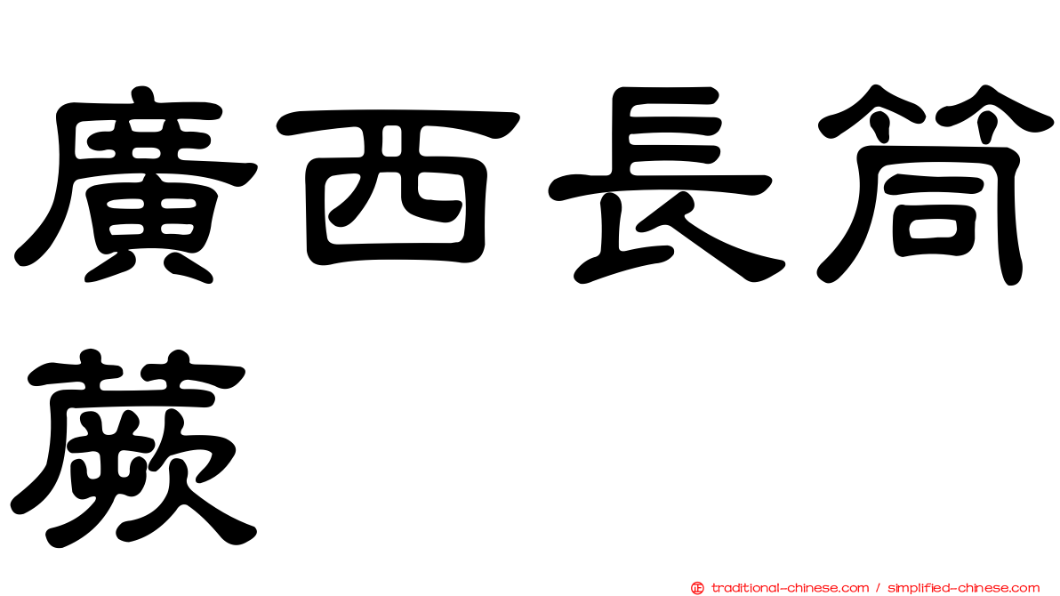 廣西長筒蕨