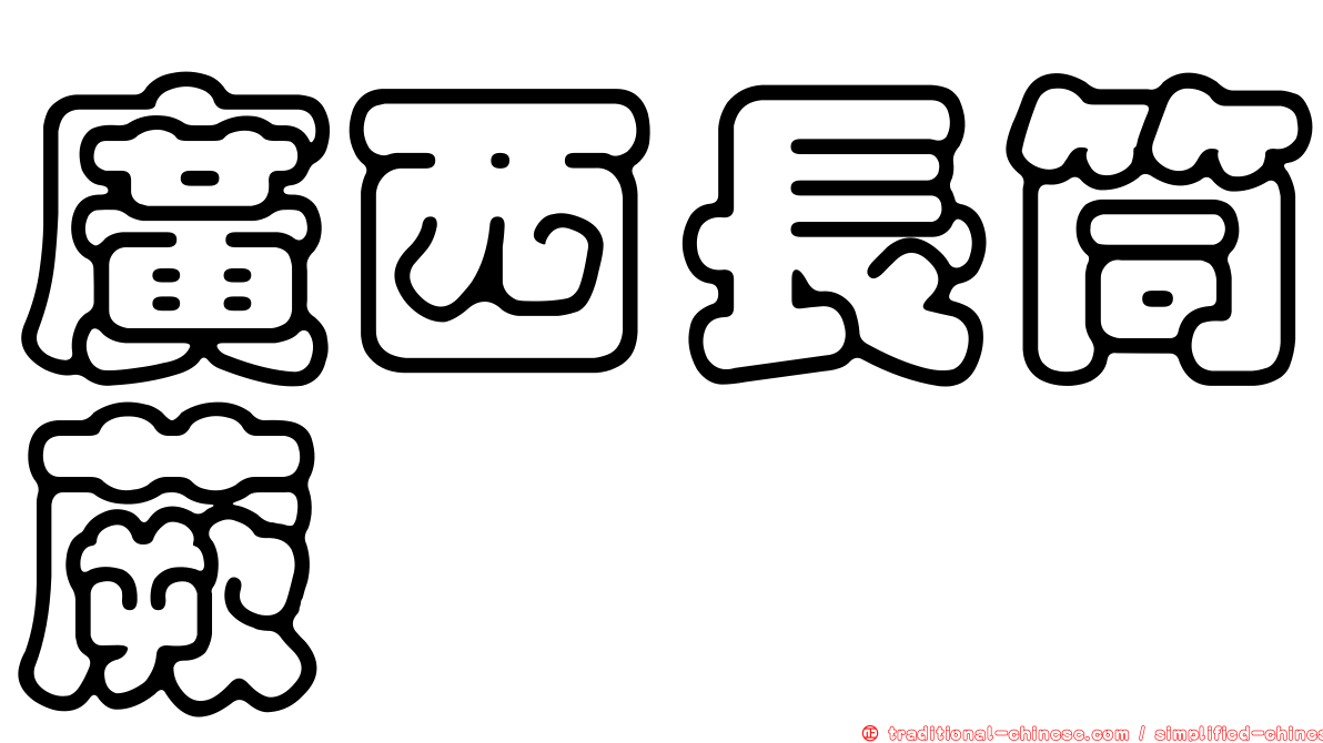 廣西長筒蕨