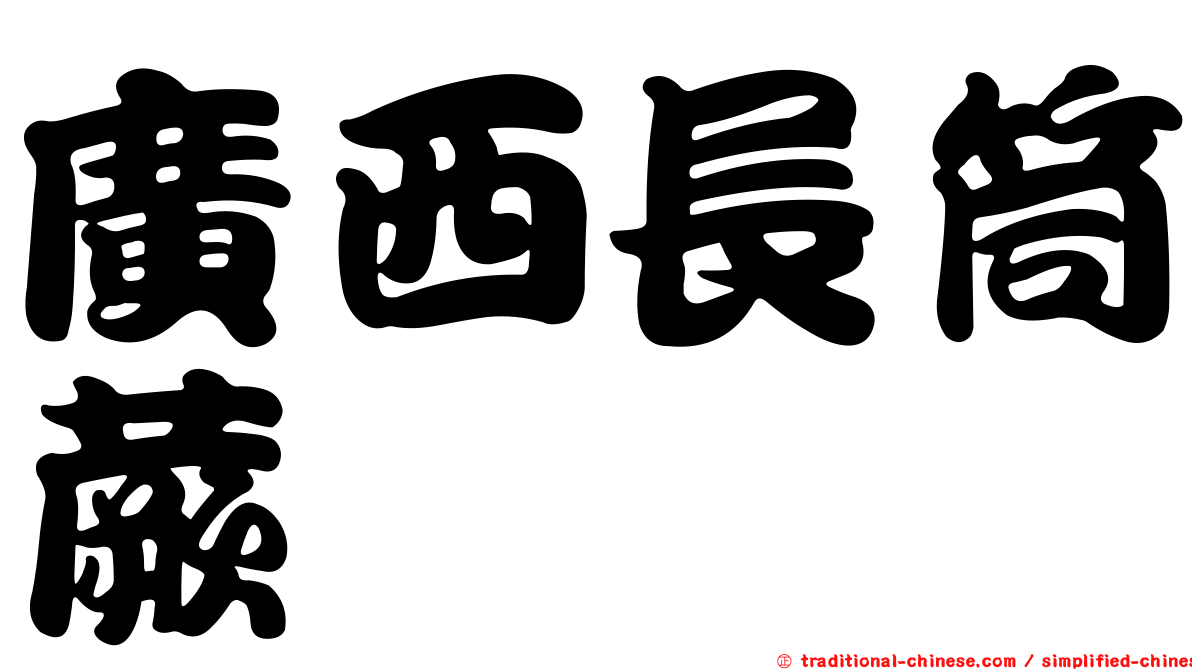 廣西長筒蕨