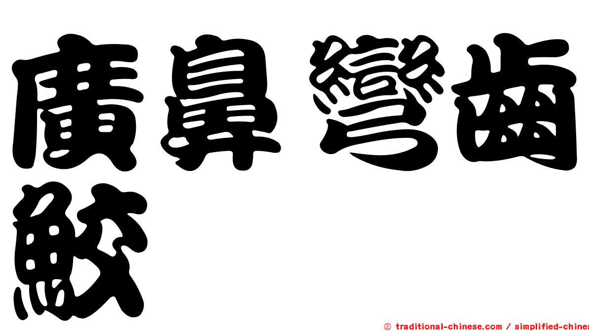 廣鼻彎齒鮫