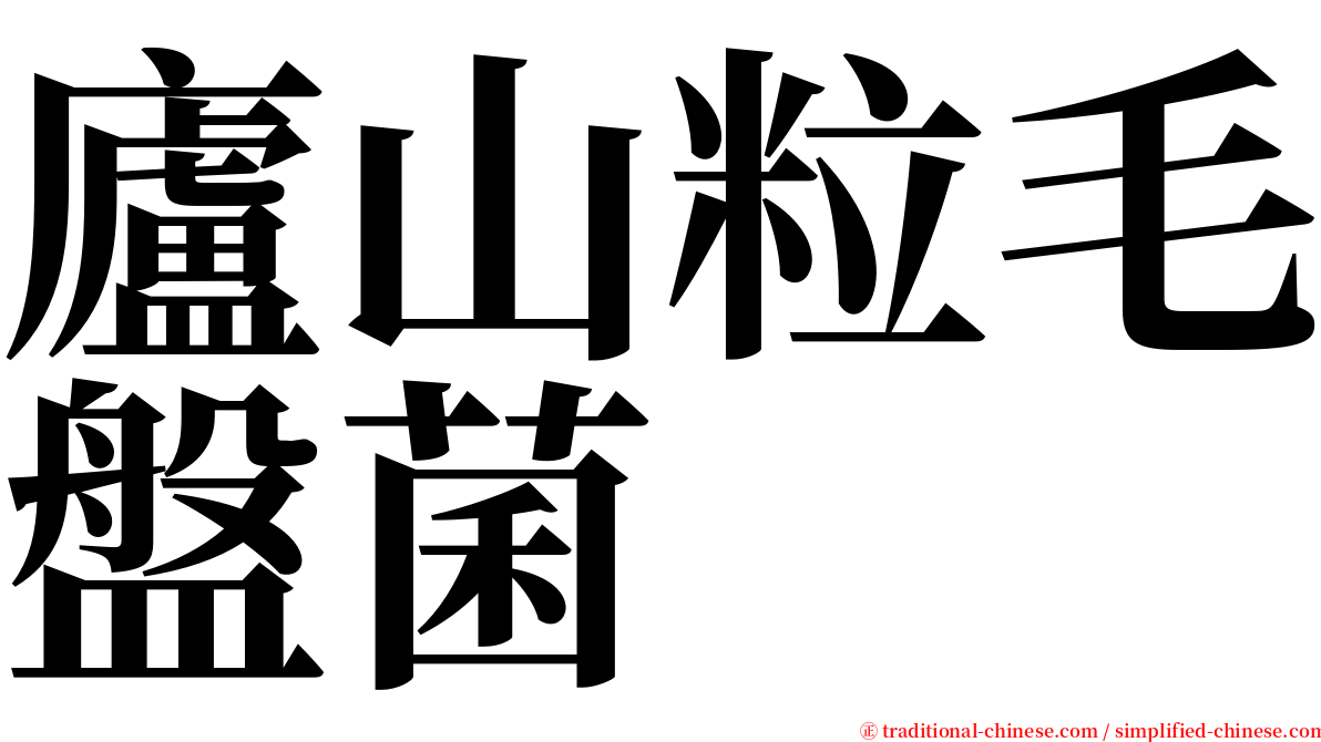 廬山粒毛盤菌 serif font