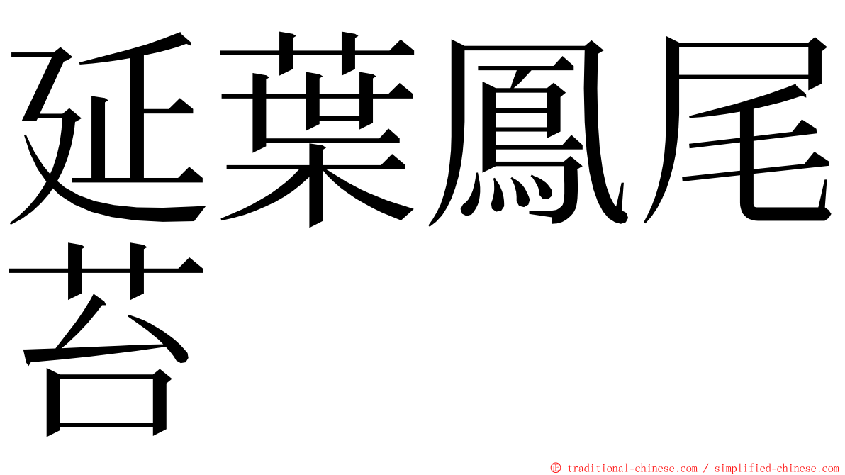 延葉鳳尾苔 ming font