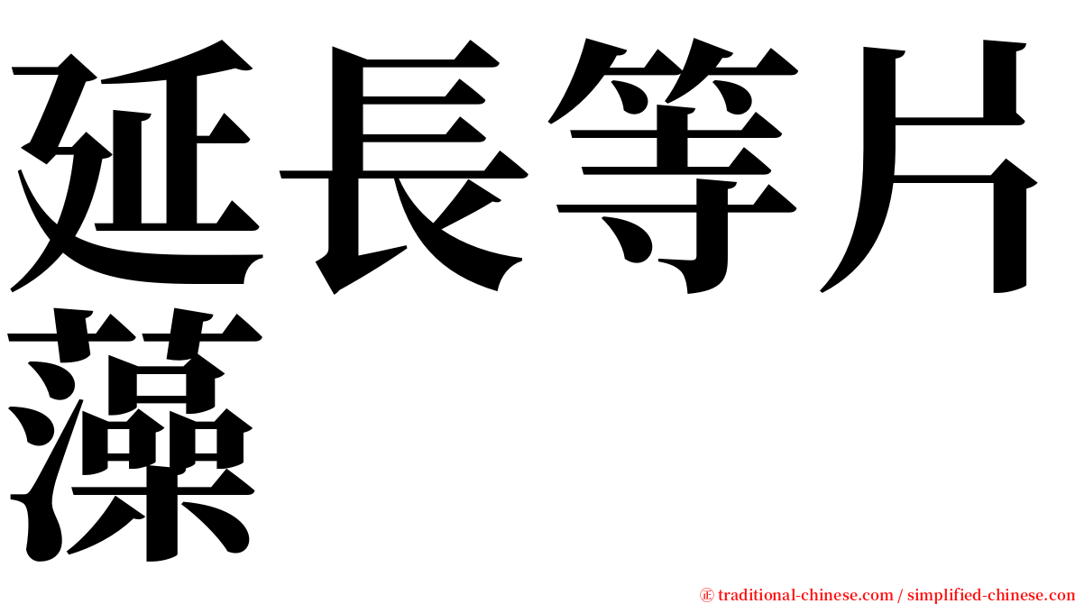 延長等片藻 serif font