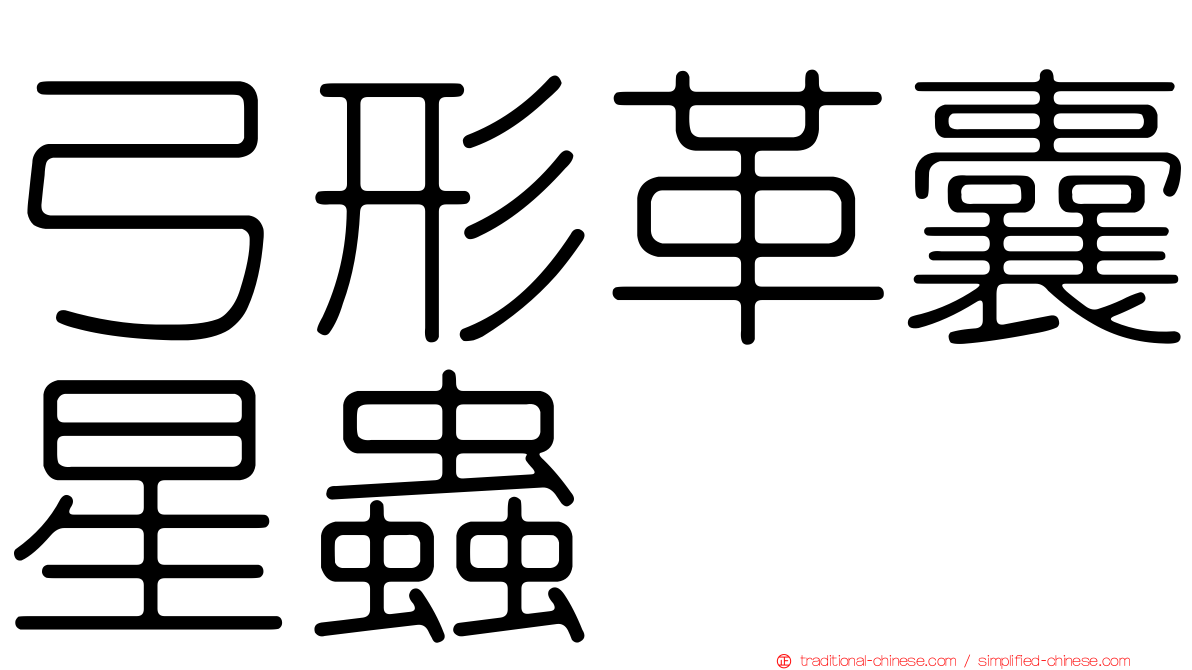 弓形革囊星蟲