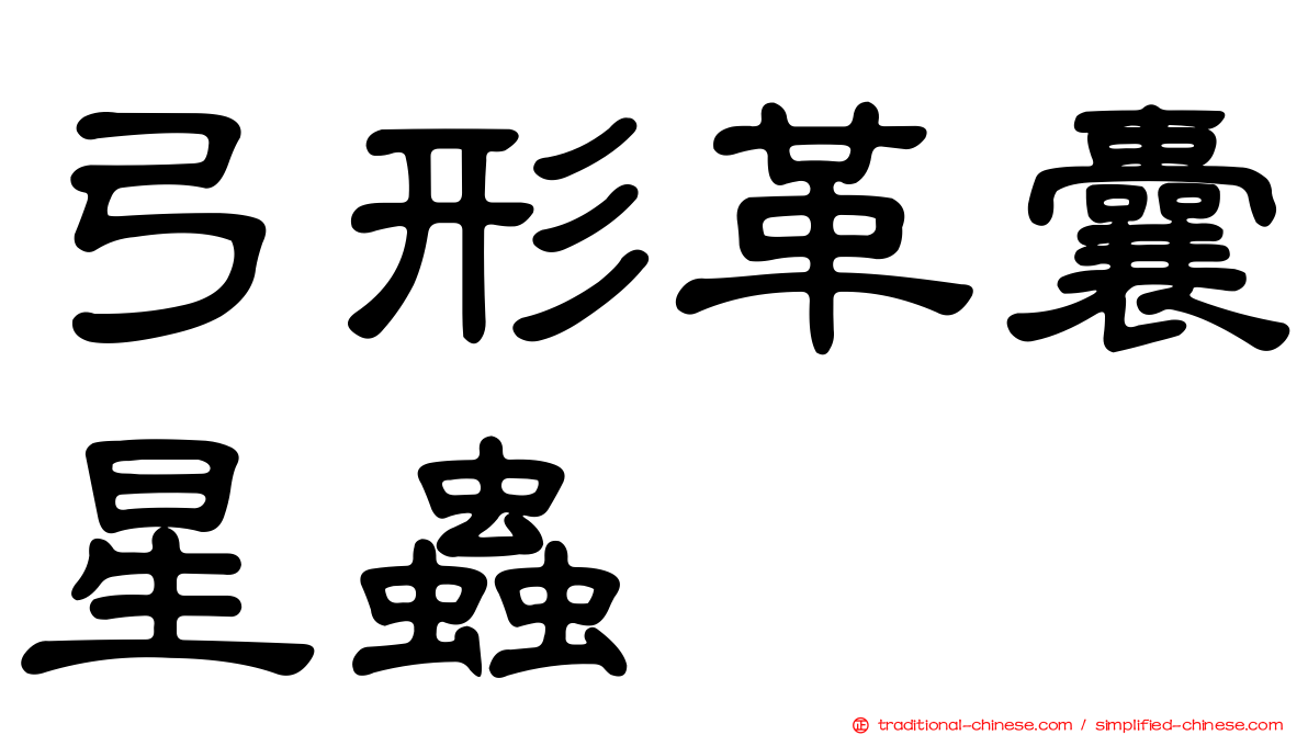 弓形革囊星蟲