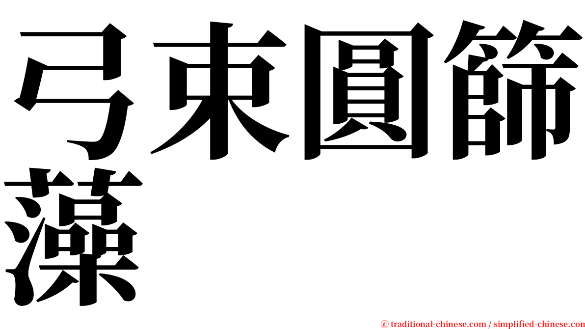 弓束圓篩藻 serif font