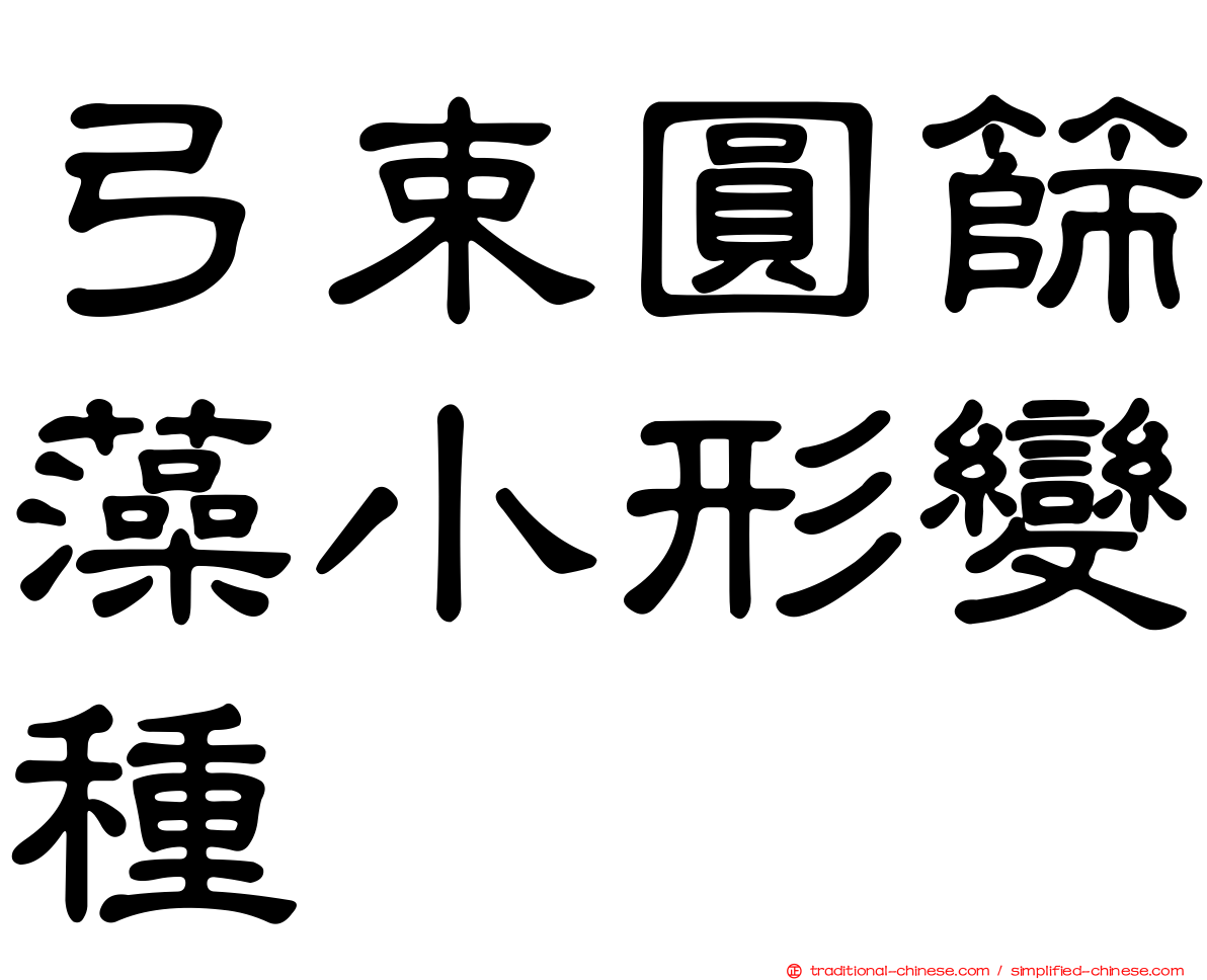 弓束圓篩藻小形變種