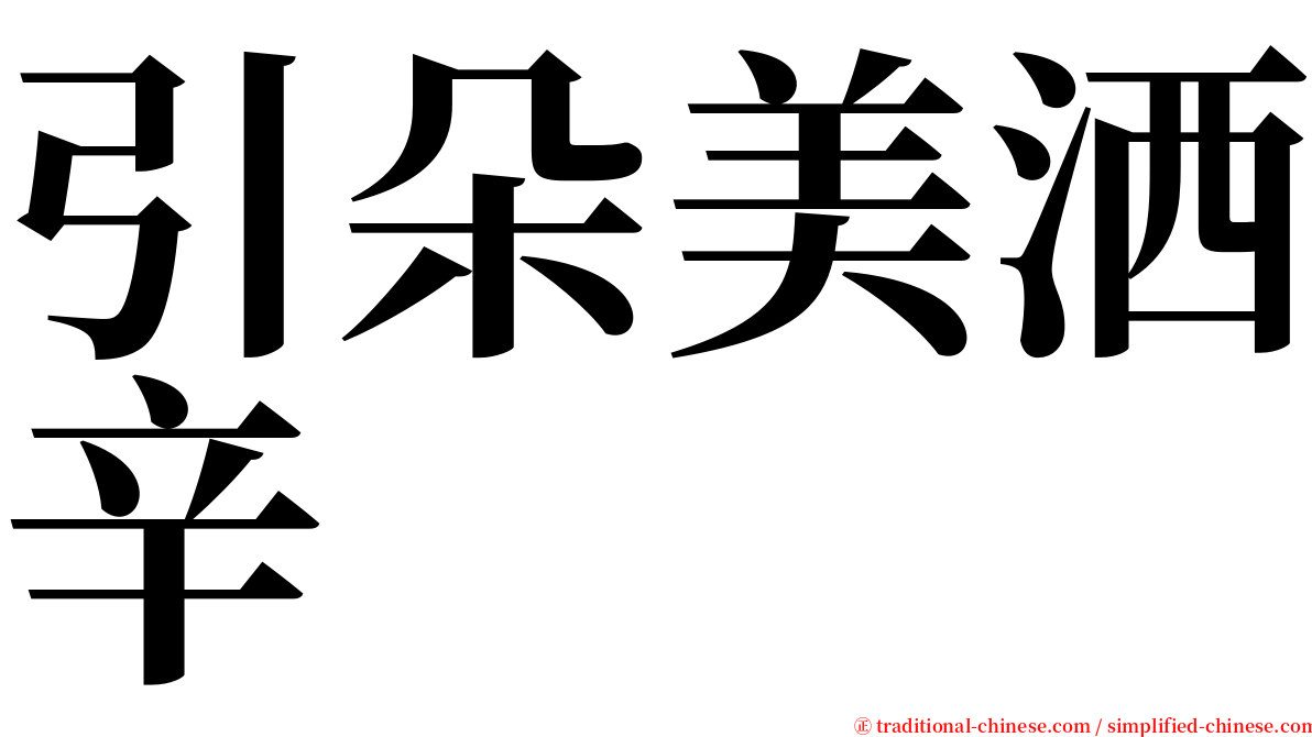 引朵美洒辛 serif font