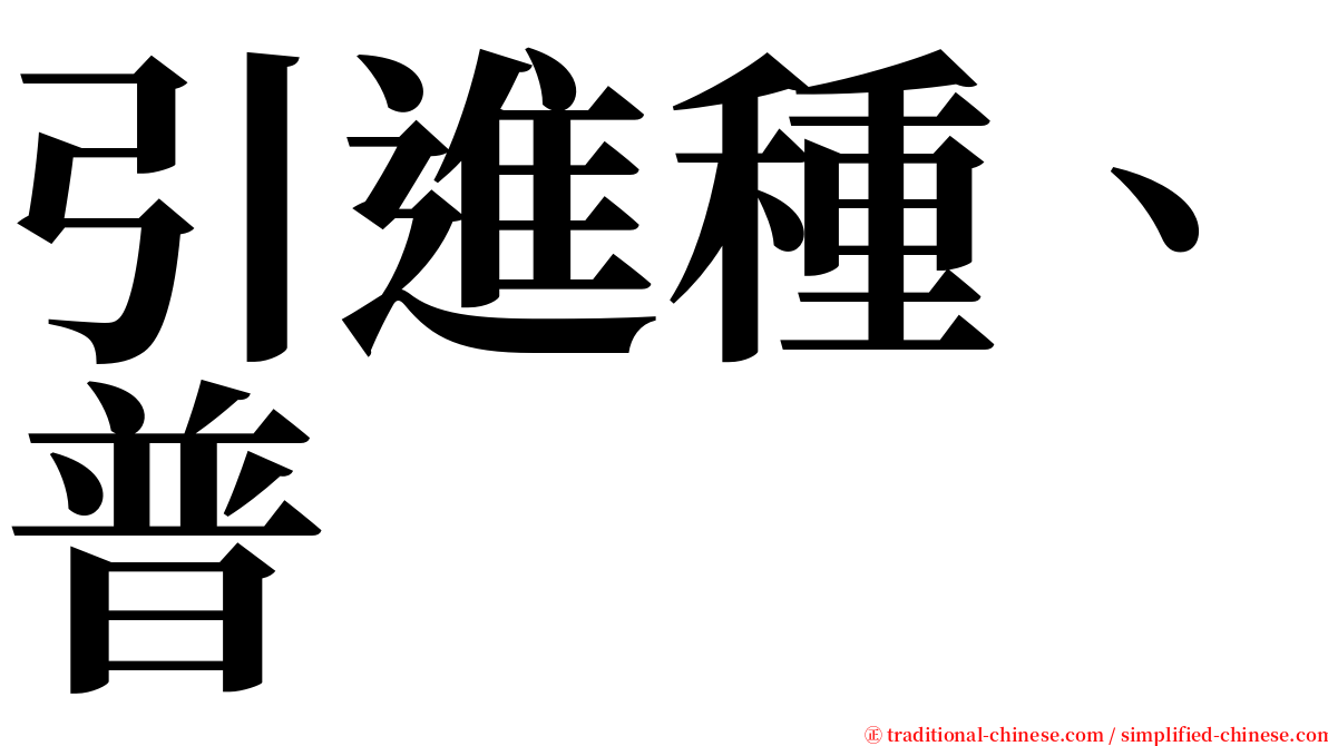 引進種、普 serif font