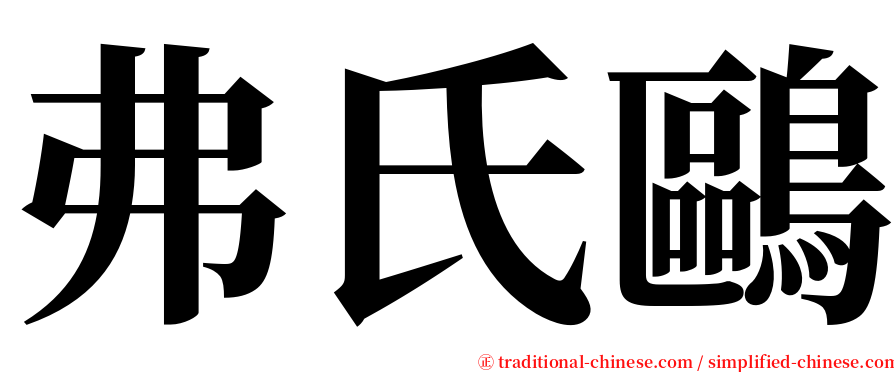 弗氏鷗 serif font