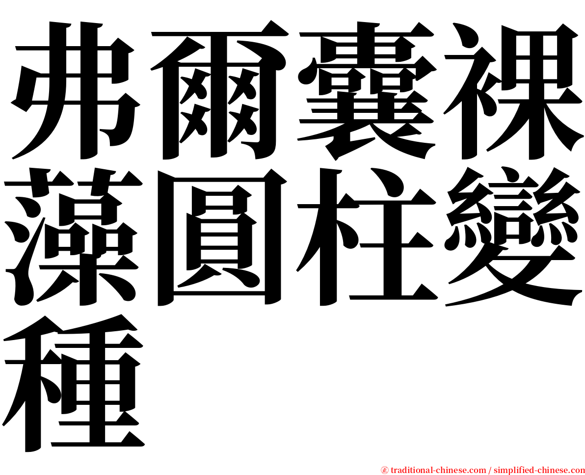 弗爾囊裸藻圓柱變種 serif font