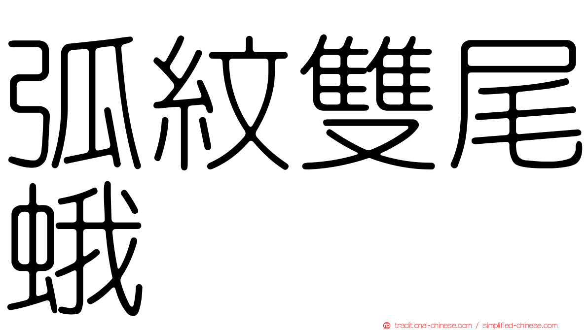 弧紋雙尾蛾