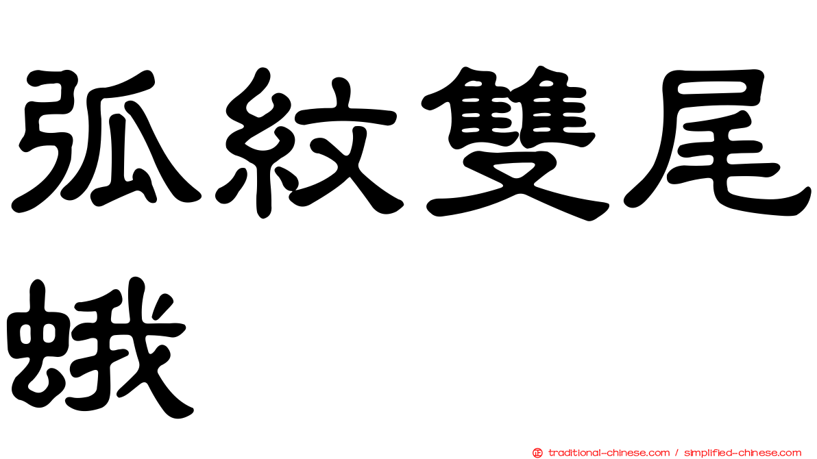 弧紋雙尾蛾