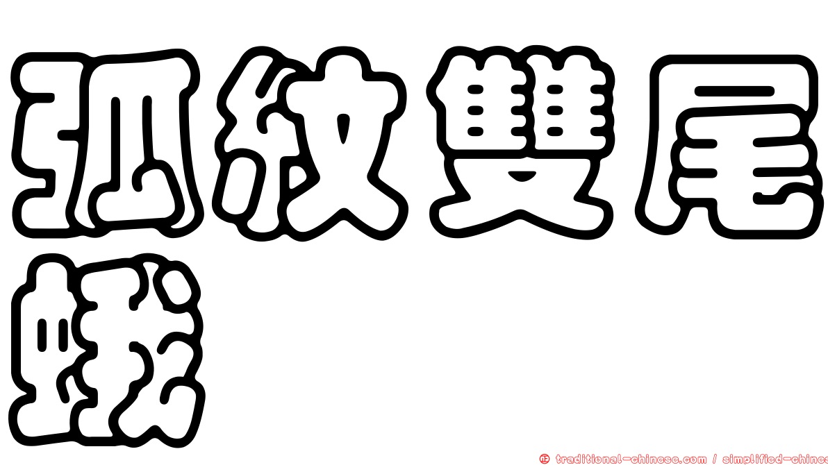 弧紋雙尾蛾