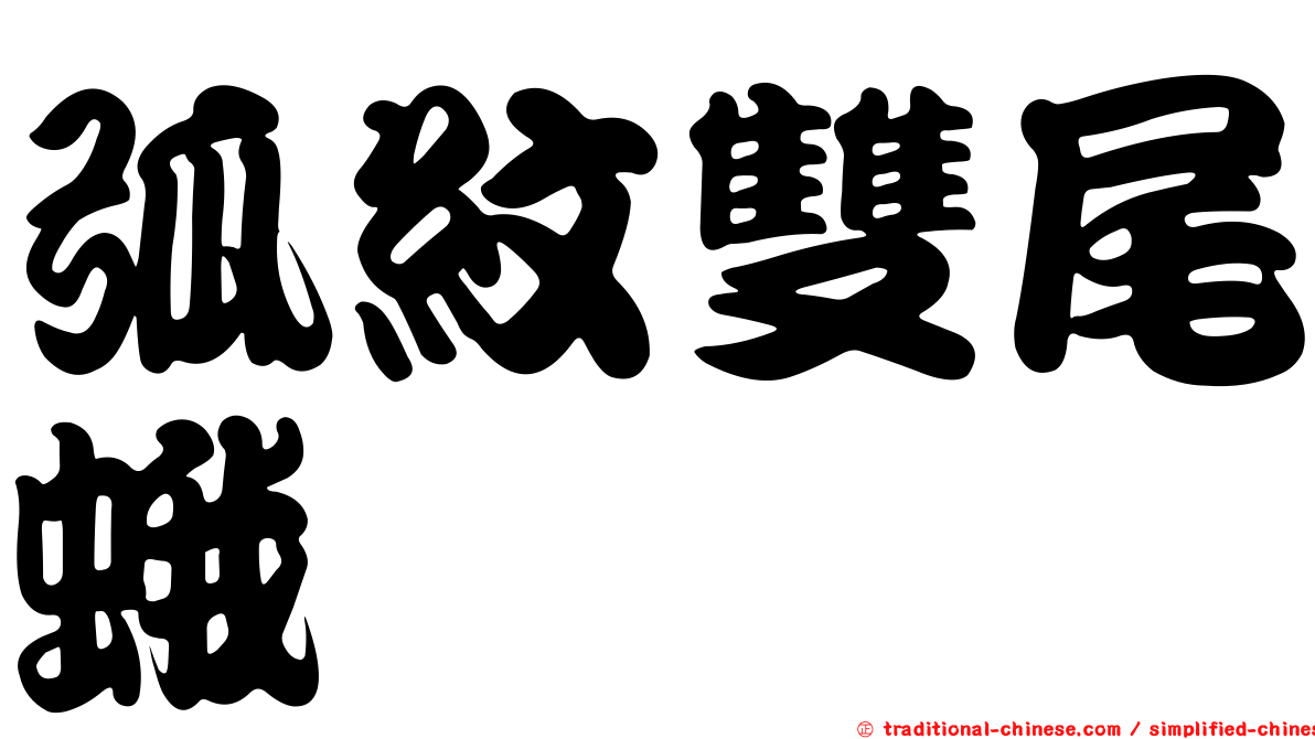 弧紋雙尾蛾