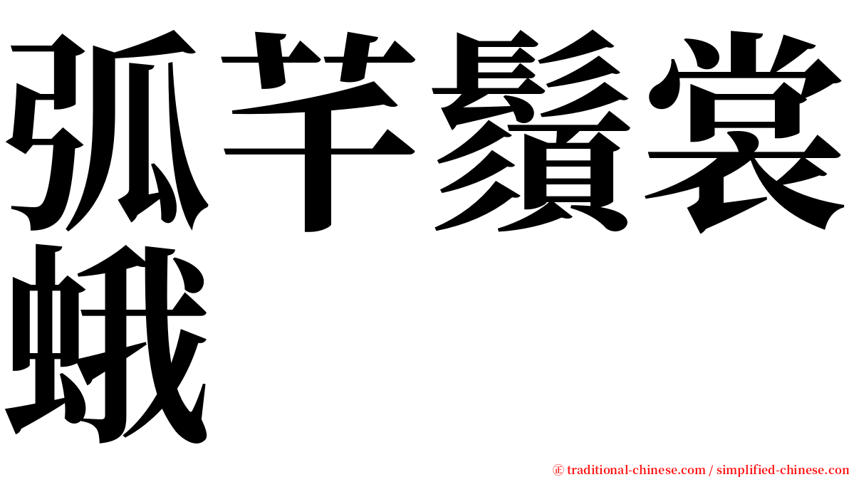 弧芊鬚裳蛾 serif font