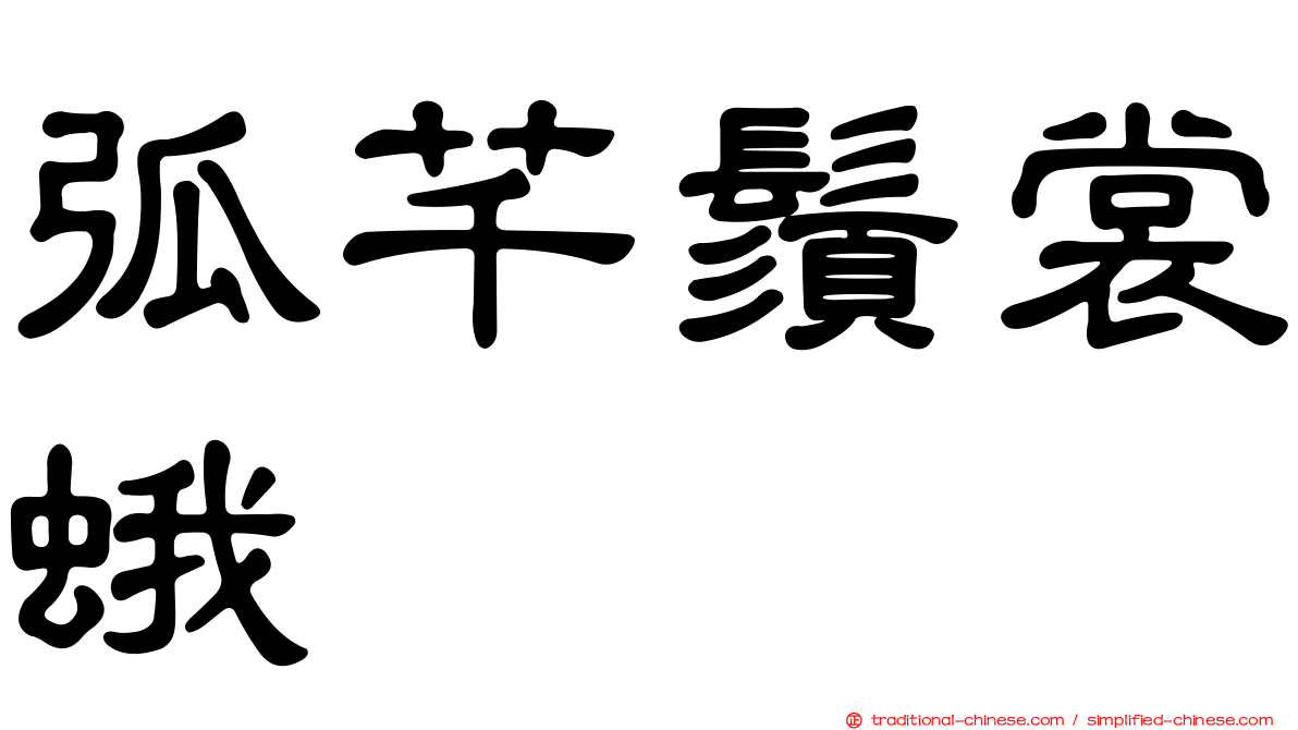 弧芊鬚裳蛾