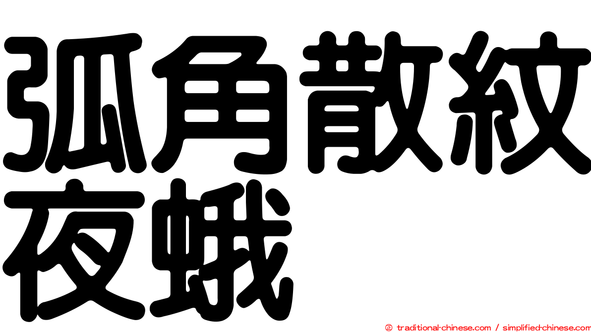 弧角散紋夜蛾