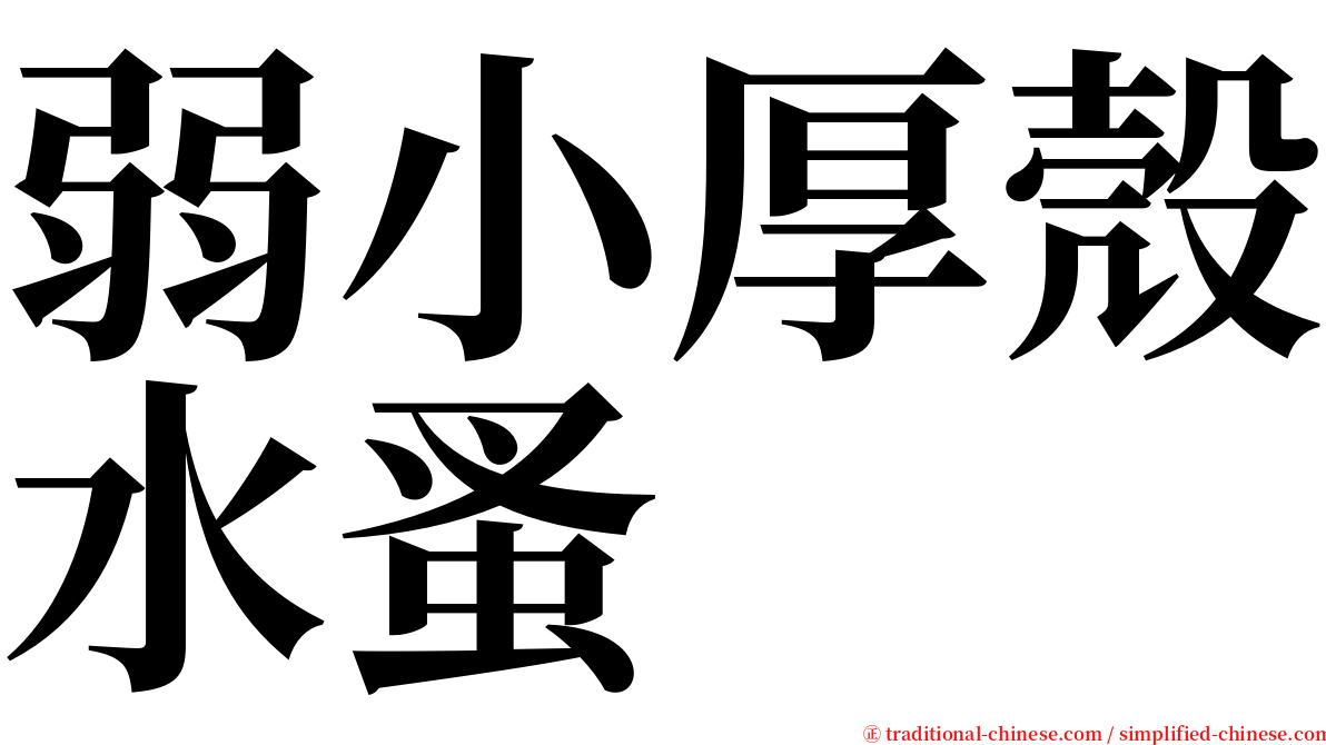 弱小厚殼水蚤 serif font