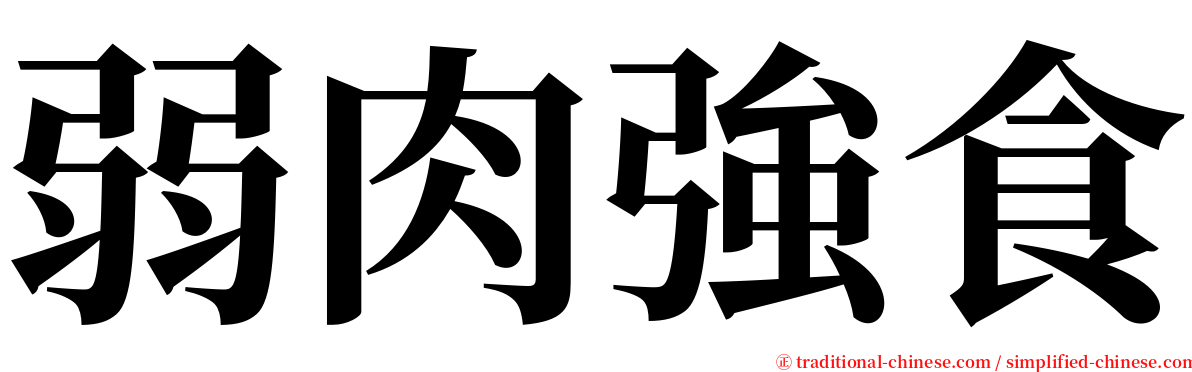 弱肉強食 serif font