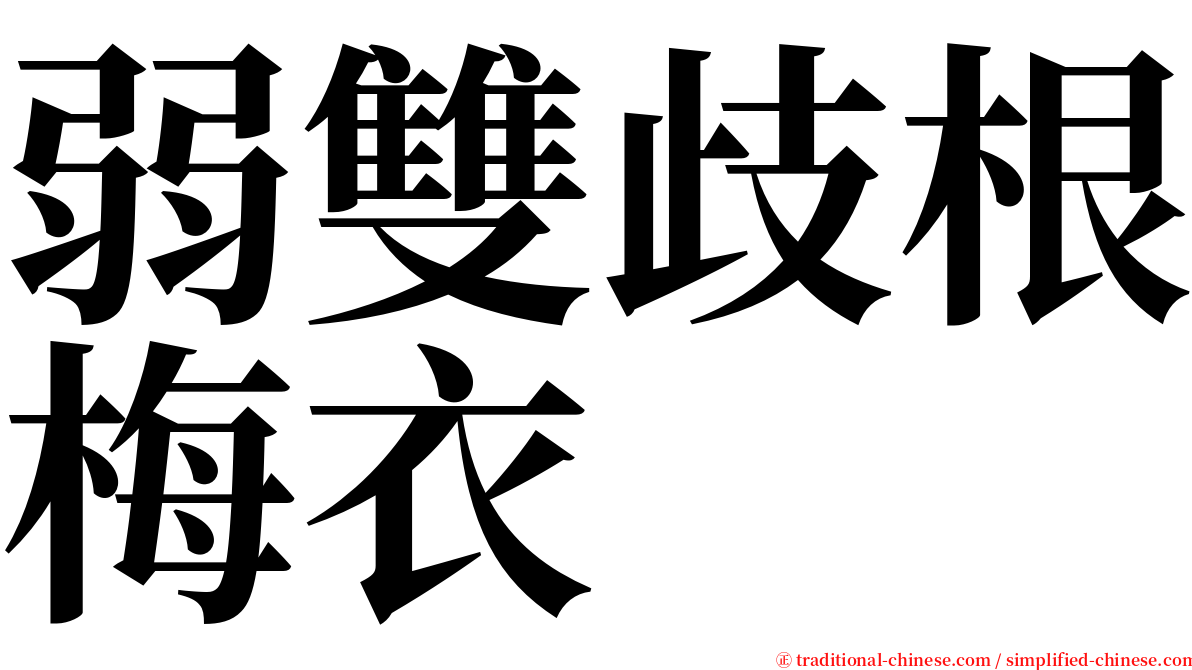 弱雙歧根梅衣 serif font