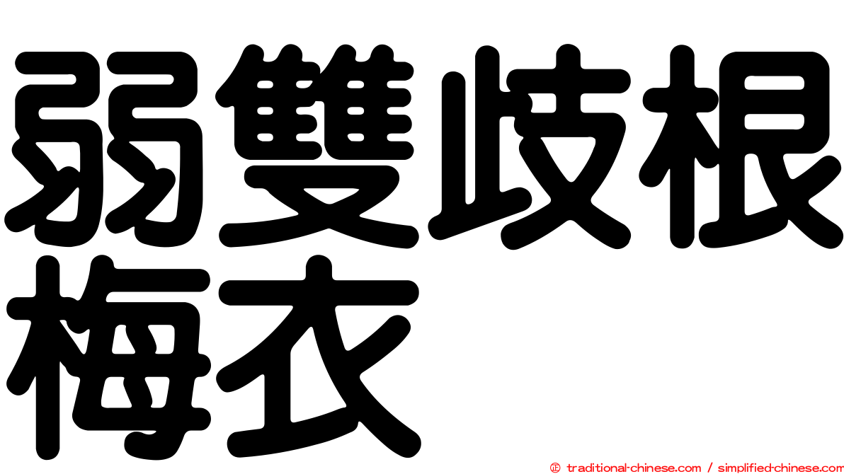 弱雙歧根梅衣