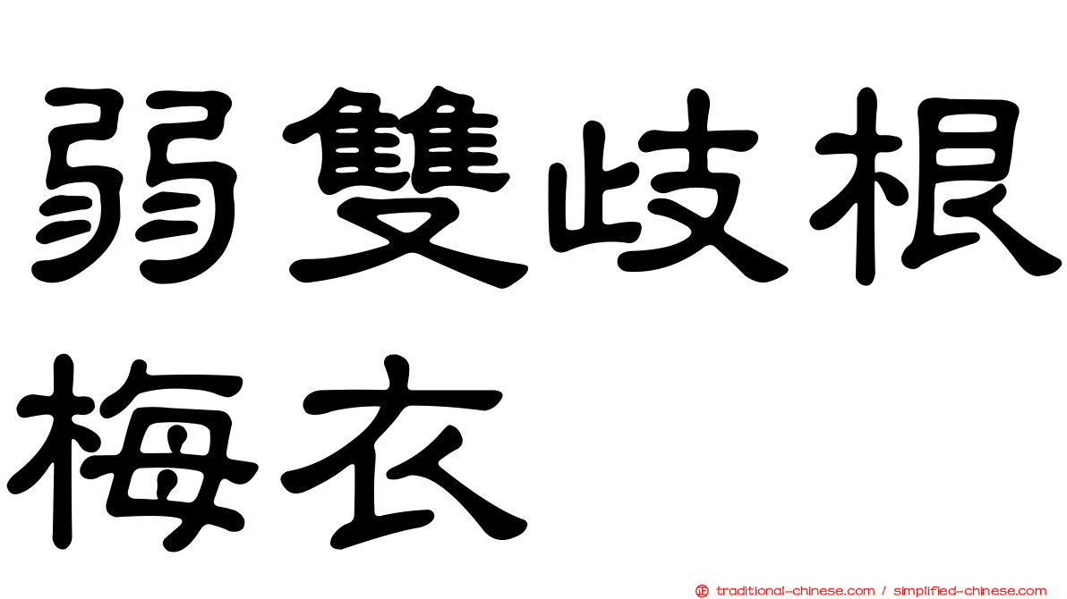 弱雙歧根梅衣