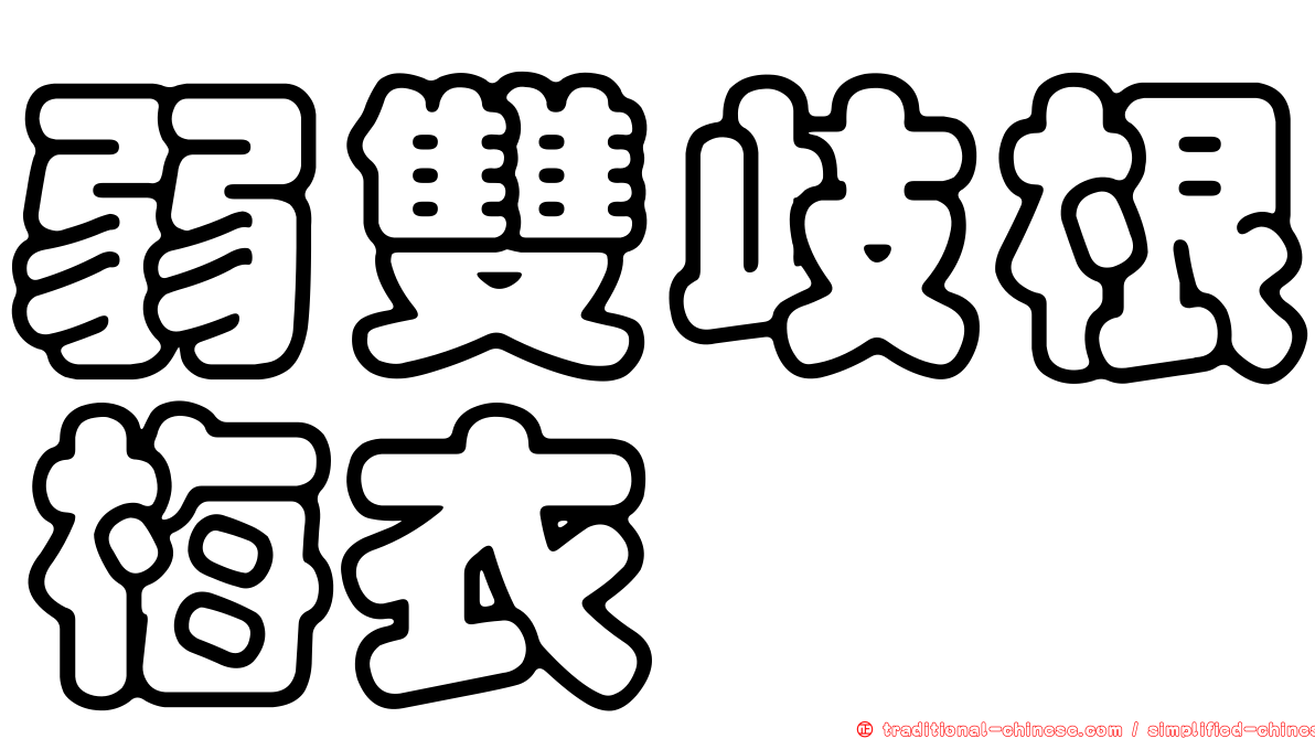 弱雙歧根梅衣