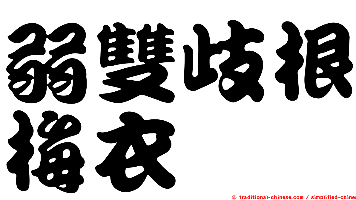弱雙歧根梅衣