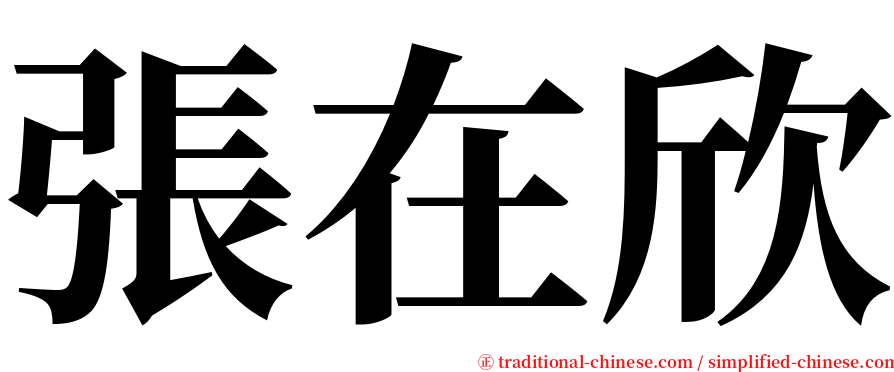 張在欣 serif font