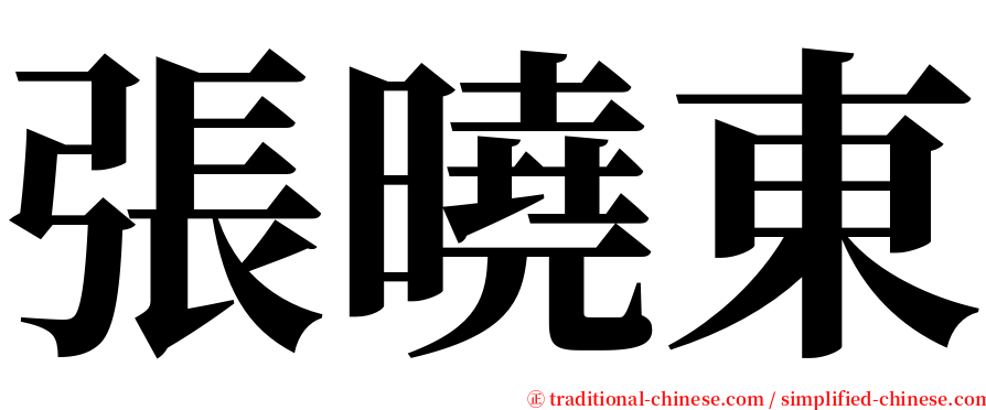 張曉東 serif font