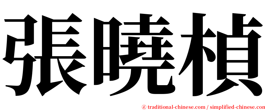 張曉楨 serif font