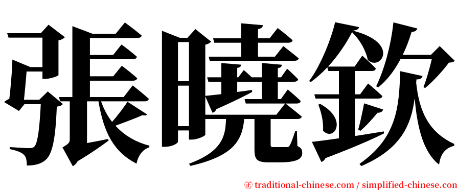 張曉欽 serif font