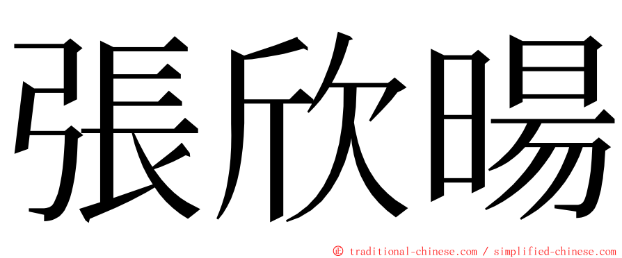張欣暘 ming font