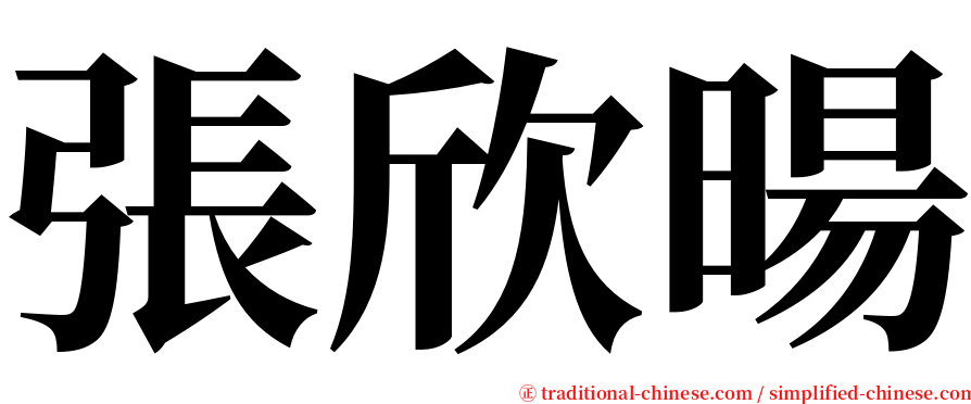 張欣暘 serif font