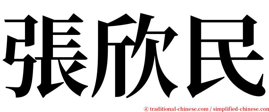 張欣民 serif font