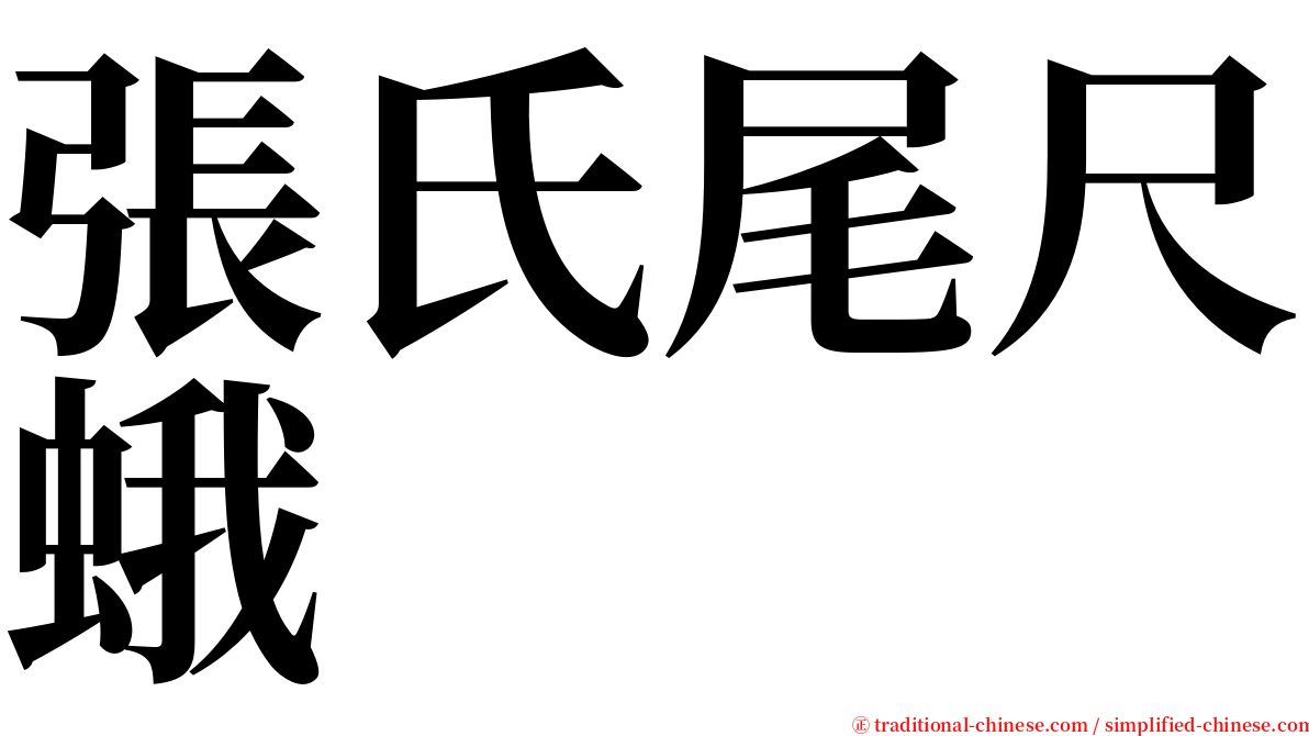 張氏尾尺蛾 serif font